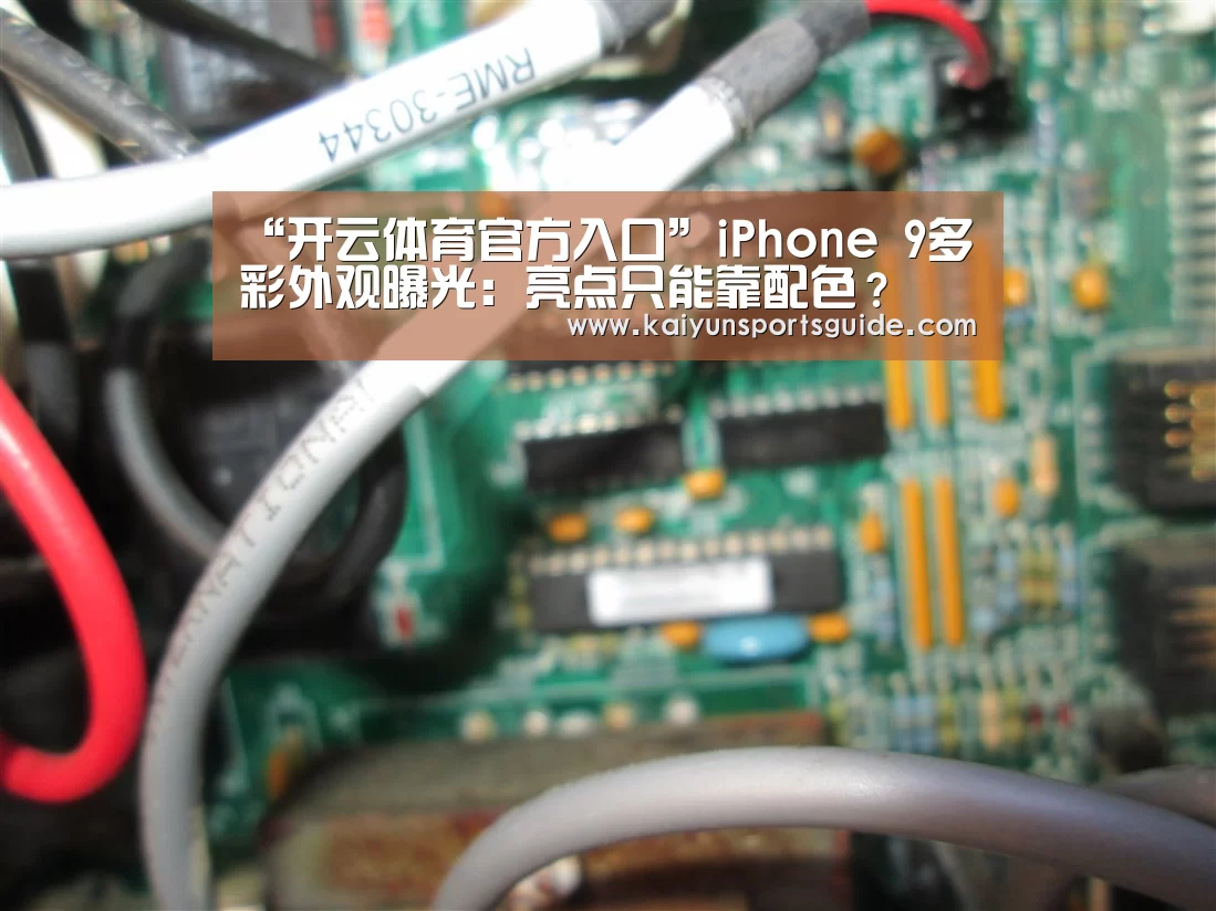 开云体育数据中心